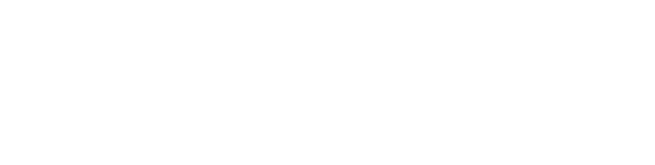 Adam Mini